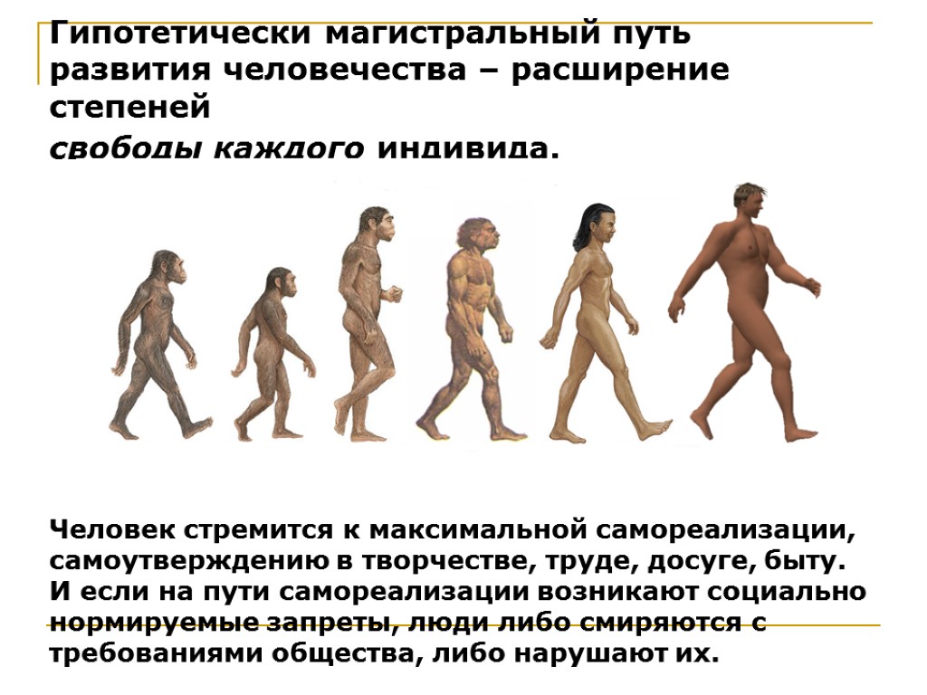 Гипотетически магистральный путь развития человечества – расширение степеней свободы каждого индивида. Человек стремится к